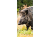 Textilbanner Wildschwein 75x180cm, braun/grün...