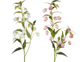 bellflower branch, h 120cm, w 40cm, flowers 5cm, var....