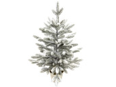 fir PE snow-covered, in pot, green/white, h 60cm