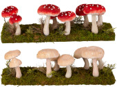 mushroom group on moss plate, 44 x 11 x h 16cm, var. designs