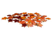 maple leaves red/orange 7 - 10cm 48 pcs.